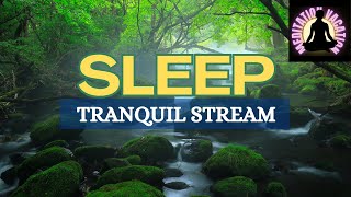 Guided Sleep Meditation  Sleep by the Stream [upl. by Bettzel]