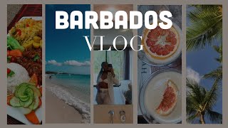 Barbados Vlog 2023  Exploring an Island  Visiting Family [upl. by Epolenep965]