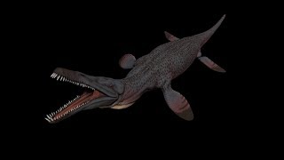 Pliosaurus Asset Showcase [upl. by Akihsan]