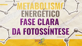 Metabolismo Energético  Fase Clara da Fotossíntese [upl. by Cita474]