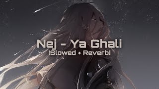 Nej  Ya Ghali 𝐒𝐥𝐨𝐰𝐞𝐝  𝐑𝐞𝐯𝐞𝐫𝐛 [upl. by Mutat]