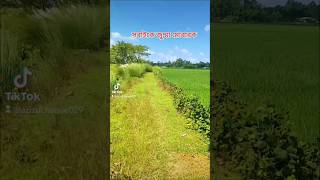 জুম্মার দিনের আমল jumma jummamubarak nature [upl. by Luamaj]