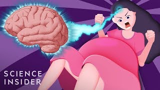 How Giving Birth Changes Your Brain [upl. by Ahasuerus689]