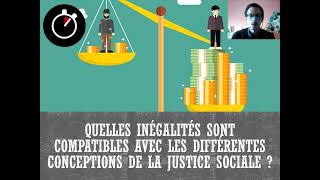 Bac SES Inégalités et Justice sociale  En 5 minutes [upl. by Eveivenej178]