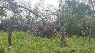 Elberta Alabama  Storm DamageTrees Down  April 10th 2021 [upl. by Paloma]