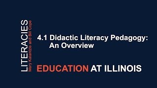 41 Didactic Literacy Pedagogy An Overview [upl. by Immac]