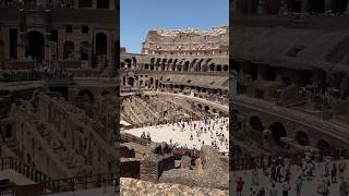 The colosseum rome travel shorts [upl. by Bartram603]