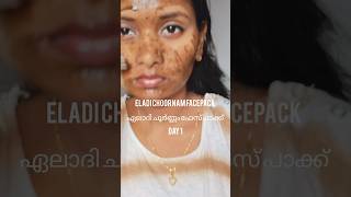 💯 ഏലാദി ചൂർണ്ണംഫേസ്പാക്ക് Day 1facepackforteenagers facepackforoilyskin facepackforacne facepack [upl. by Launcelot]