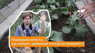 Подкормка капусты как выбрать удобрения и когда их применять [upl. by Nevet]