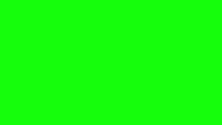 Green Screen  A Screen Of Pure Green For 10 Hours  Background  Backdrop  Screensaver  Full HD [upl. by Bethezel479]