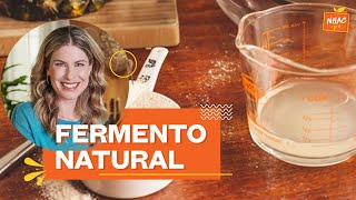 LEVAIN como fazer fermento natural para pão caseiro  Rita Lobo  Cozinha Prática [upl. by Oliver821]