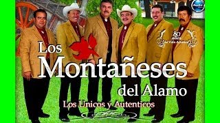 LOS MONTAÑESES DEL ALAMO  LA MARGARITA MUSICA NORTEÑA [upl. by Leonelle]