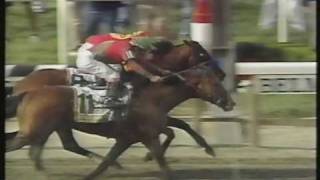 Victory Gallop Belmont Stakes 1998  Thrilling finish  Triple Crown lost by a nose [upl. by Sudbury]