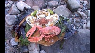 A foraged Pembrokeshire wild seafood feast cooked on the shore with Craig Evans [upl. by Afas]