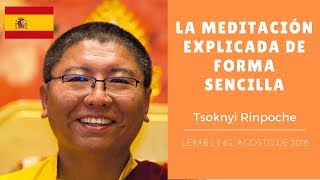 Tsoknyi Rimpoché  La meditación explicada de forma sencilla [upl. by Suertemed936]