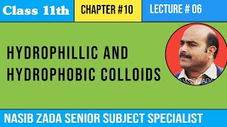 Hydrophillic And Hydrophobic Colloids Lyophillic and Lyophobic Colloids NASIBZADASSS [upl. by Winebaum490]