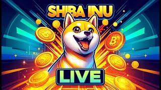 Shiba Inu Live [upl. by Esimehc983]