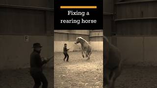 Fixing a rearing mare [upl. by Loar]