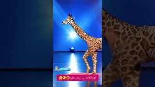 rap magic hiphop shorts human 🚶‍♀️transform into Giraffe🦒 Americas got talent giraffe 🦒🦒🦒 [upl. by Lynette702]