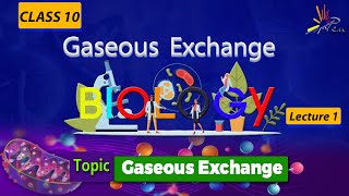 Gaseous Exchanges EXPLAINED in Biology I CLASS 10 I Unit 1 I lect 1 I Biology penacademy [upl. by Juieta]