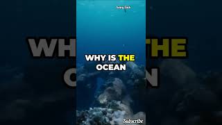 Why is the Ocean Hiding Secrets from Us scubadivers ghoststory scary deepseamysteries facts [upl. by Yessej426]