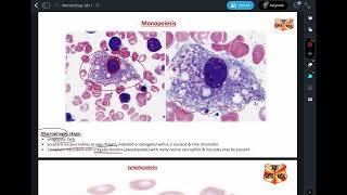 Hematologyhistologypractical 1 part3 [upl. by Sneed92]