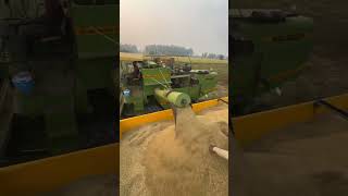 Full loaded trally 👍sidhumoosewala jhonderee combine farmingtractor farming tractor shorts [upl. by Gievlos]