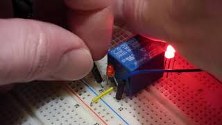 Electronics single pole double throw switch demonstration circuit using SRD 05VDC SL C relay [upl. by Kentigerma]