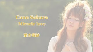 Cano Sakura  愛の奇跡 Official Lyrics  2010Version [upl. by Reginald]