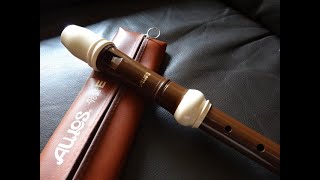 Aulos Haka 709B Alto Recorder amp Celtic Harp  Sally Gardens´ [upl. by Adao]