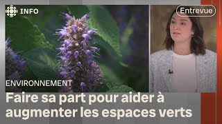 Préserver la biodiversité urbaine  du vert en ville et dans nos cours  Dabord linfo [upl. by Anniram]