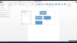 organogram maken met word [upl. by Anayek]