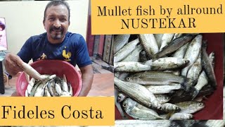 Mullets catch of the day by allround NUSTEKAR FIDELES COSTA [upl. by Annayak]