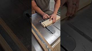 The Table Saw shorts theshopprojects woodworking [upl. by Edbert]