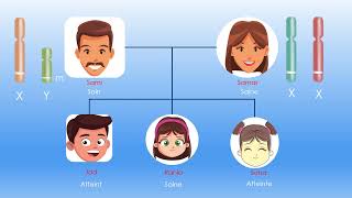 Analyse dun pedigree  maladie autosomale récessive [upl. by Aciretal]