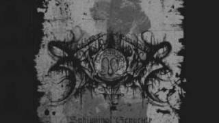 Xasthur  Arcane And Misanthropic Projection [upl. by Leizar]