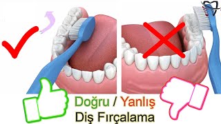 Doğru Diş Fırçalama Tekniği [upl. by Willmert]