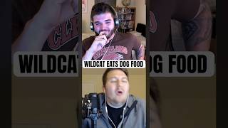 WILDCAT ATE DOG FOOD 8 YEARS AGO [upl. by Lodge]