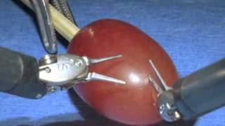 da Vinci Surgical System Surgery on a grape [upl. by Ardaid]