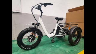 Anlochi 20quot 48V 750W Bafang motor fat folding electric cargo bike 3 wheel electric trike [upl. by Yrot562]