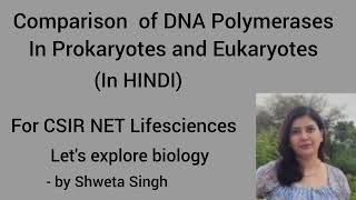 Comparison of DNA Polymerases In Eukaryotes and Prokaryotes For CSIR NET [upl. by Tereb]