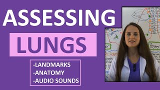 Lung Auscultation Landmarks Sounds Placement Nursing  Assessing Lungs Part 1 [upl. by Kerad]