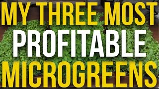 My 3 Most Profitable Microgreens [upl. by Saticilef]