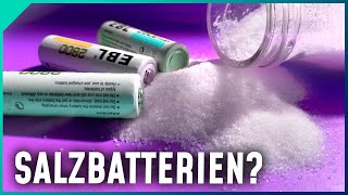 SalzwasserAkkus Das Ende der LithiumIonenBatterie [upl. by Oznol]