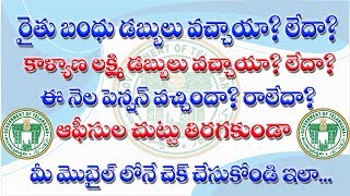 How to Check your Rythu banduరైతుబంధుbima Kalyana lakshmi pension and Salary status eGURUm tv [upl. by Rellia]