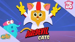 How Do Cats Survive Massive Falls  The Dr Binocs Show  Learning Videos For Kids  Peekaboo Kidz [upl. by Anertak]