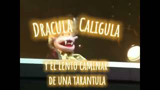 31 minutos  Dracula caligula tarántula LIVE not official lyric video [upl. by Hadias917]