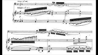 Beethoven Cello Sonata 4  Second Movement [upl. by Prudie]