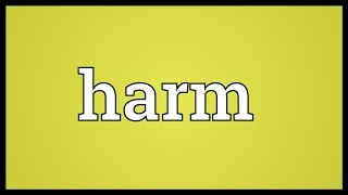 Harm Meaning [upl. by Balthasar]