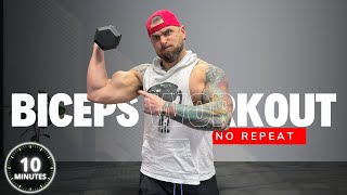 10 Minute Workout NO REPEAT Bicep Workout With Dumbbells BURNOUT works with light weights [upl. by Eisle]